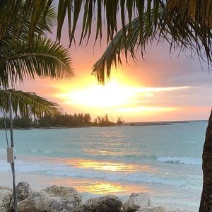 Meet your Posher, Lynn